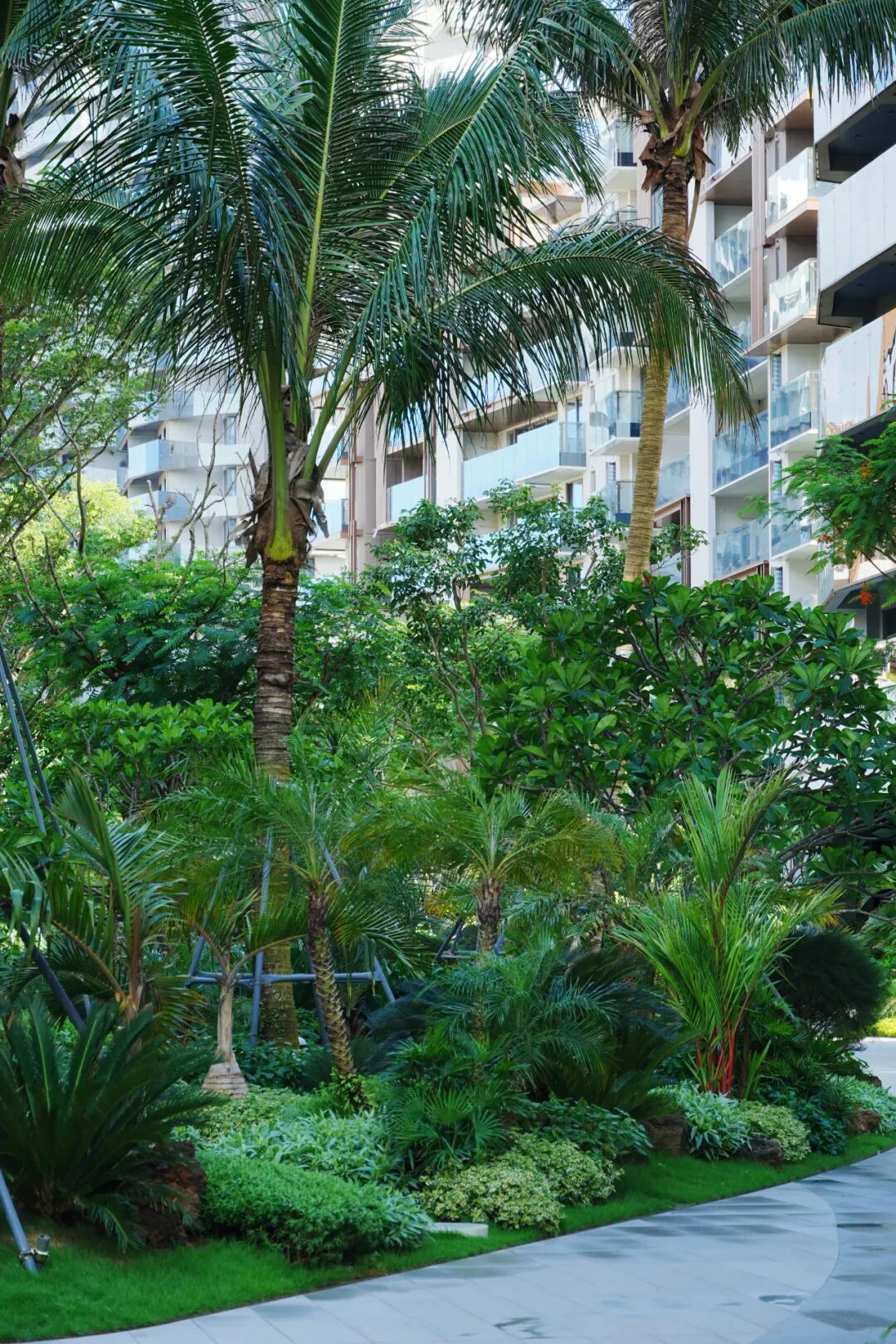 于热带秘境中编织生活美学|江东麓岛阅海澜岸2期花境项目-94