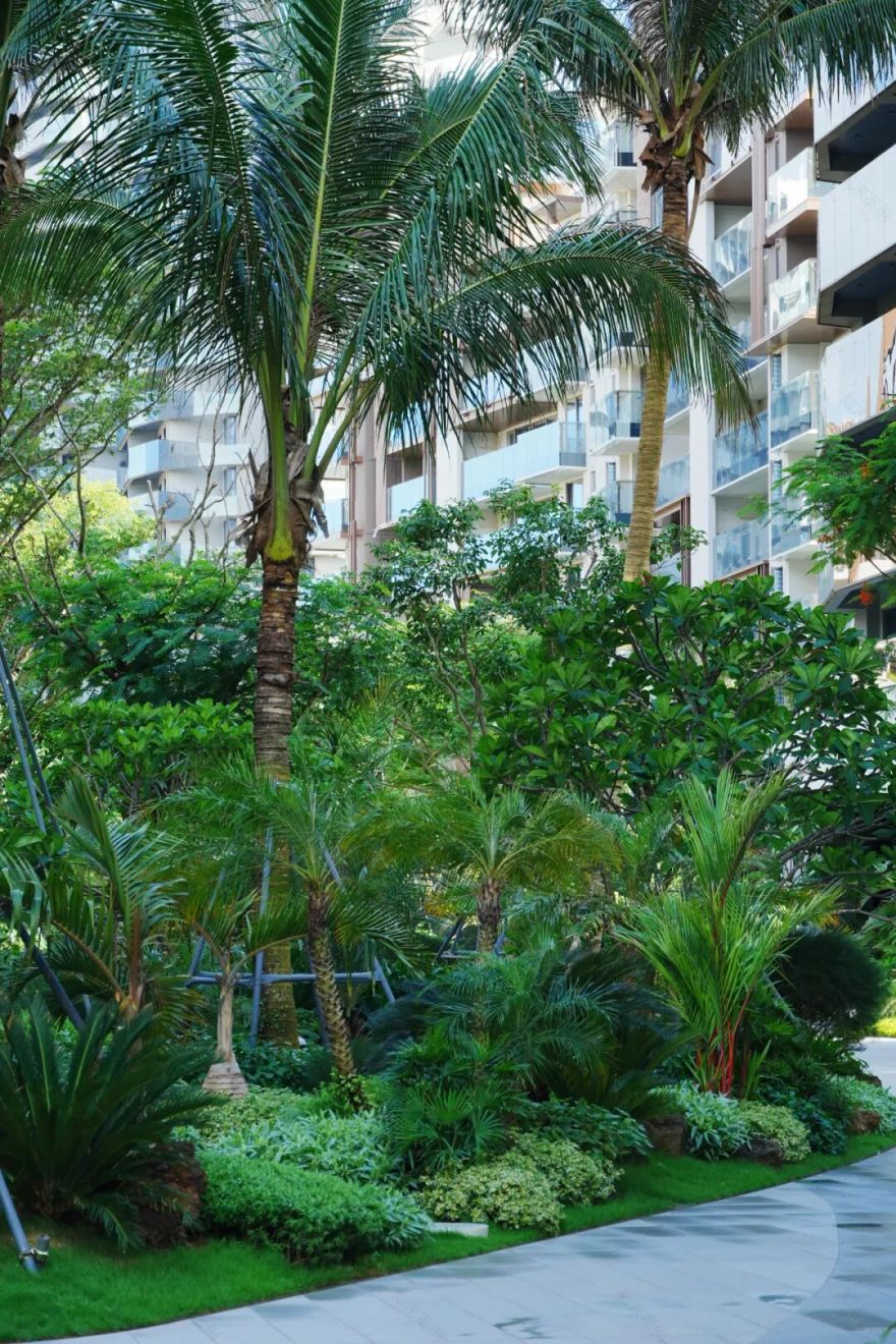 于热带秘境中编织生活美学|江东麓岛阅海澜岸2期花境项目-94