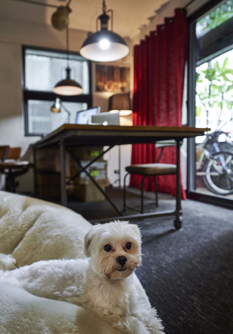 创意无限工业风 老宅变设计办公室-7