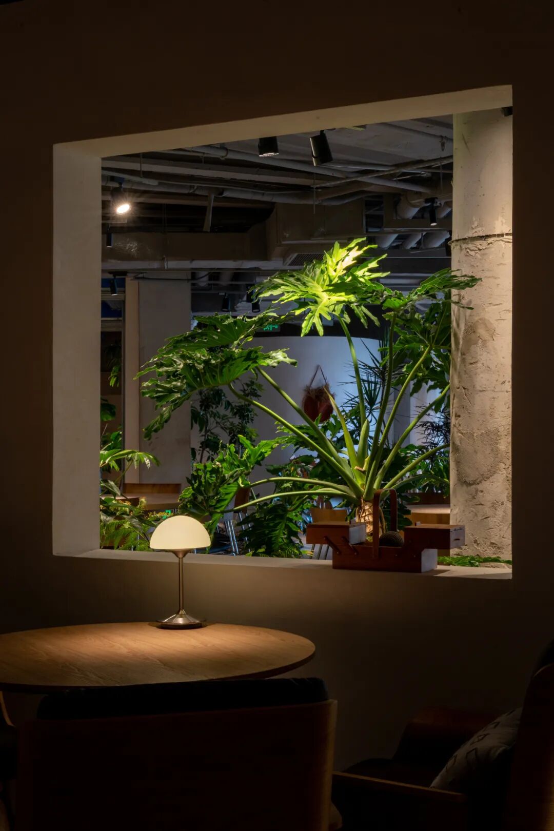 一尺花园前滩休闲公园店-62