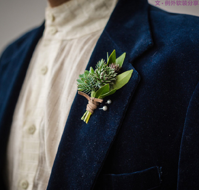 多肉植物的室内设计魅力-16