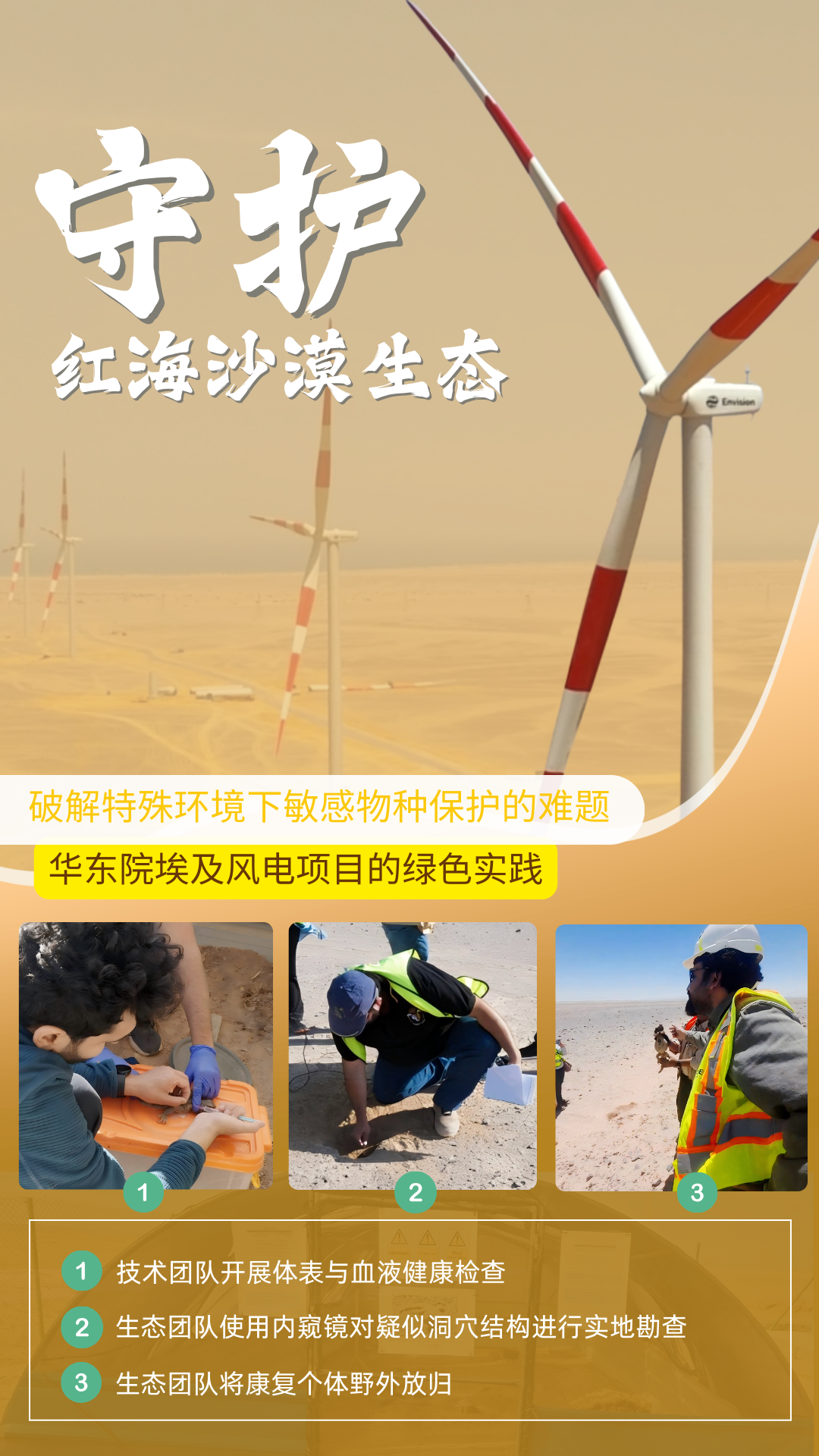 优秀项目部风采|守护红海沙漠生态：埃及风电项目的绿色实践-4