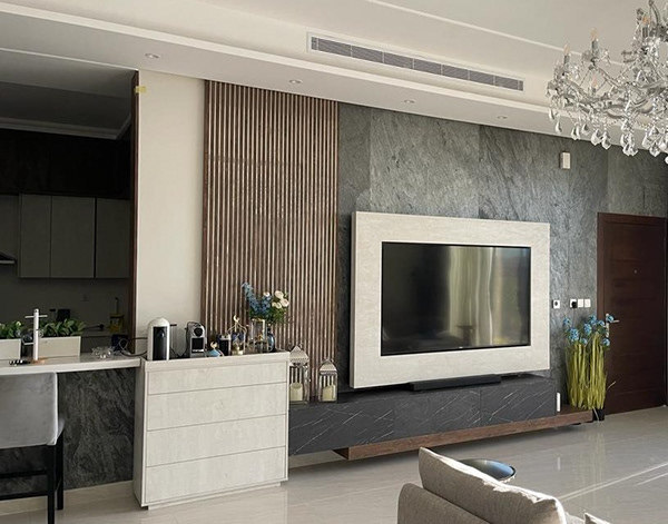 带有开放式厨房的议会厅-15