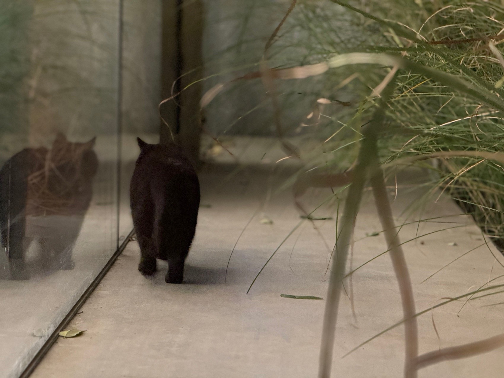 凯珍餐厅丨中国北京丨钟贺-39