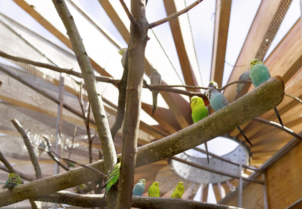 Öhringen动物园内木结构建筑工程丨德国-26