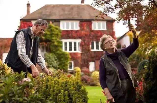 7旬夫妻用24年建绝美花园 全球花友慕名来“探花”-46