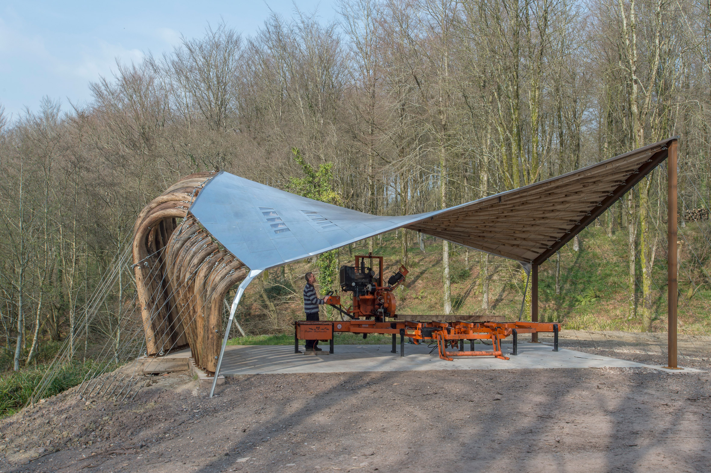 AA Design - Make students test the limits of timber in tensile woodland canopy-20