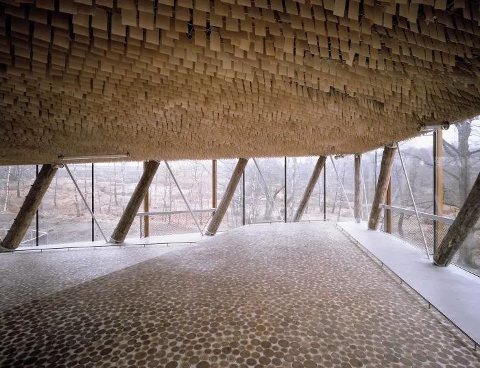 荷兰 Veluwe 国家公园茶馆丨SEARCH-15