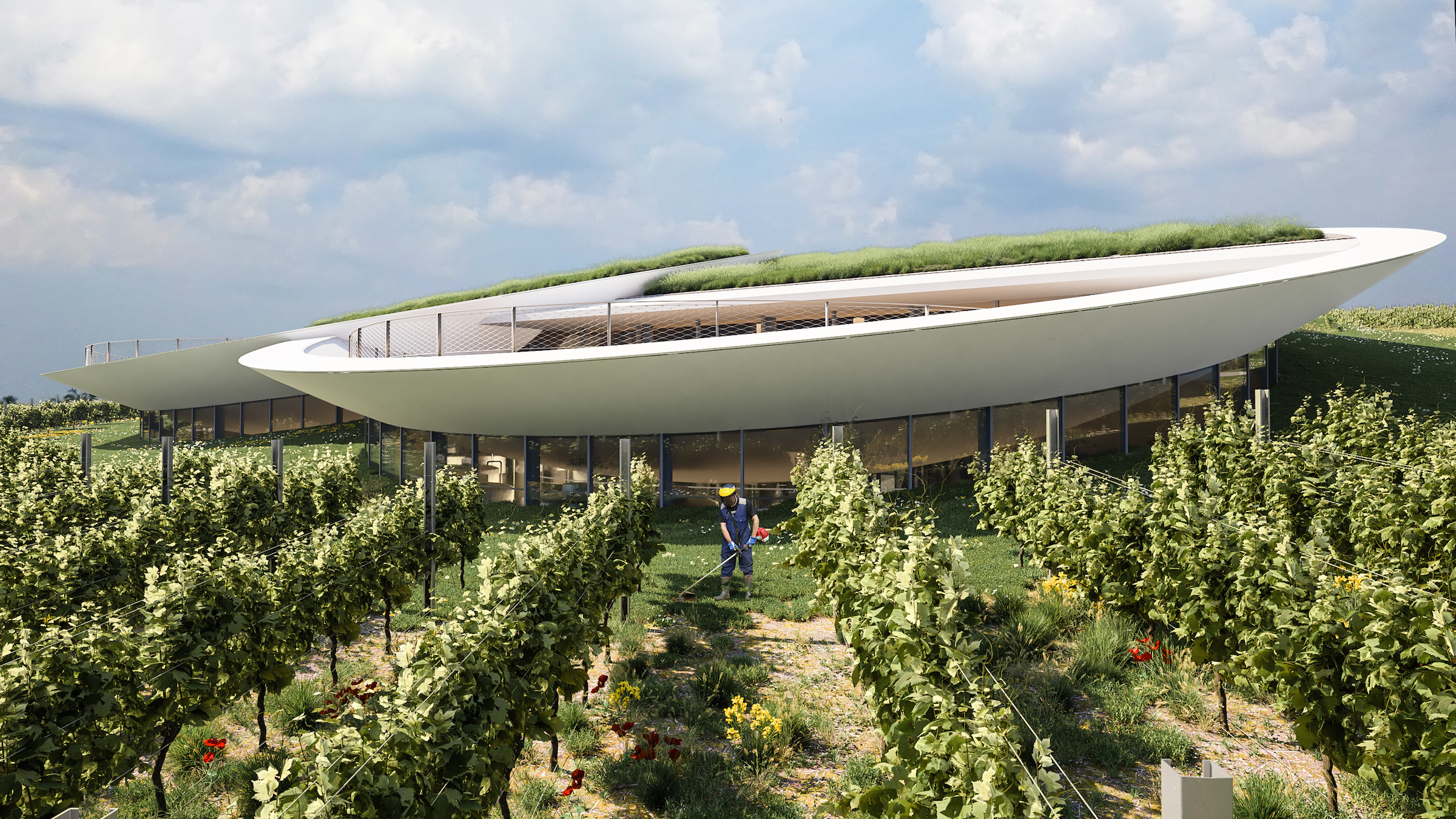 精灵之眼，索斯卡酒庄设计 / Homologue Studio-15