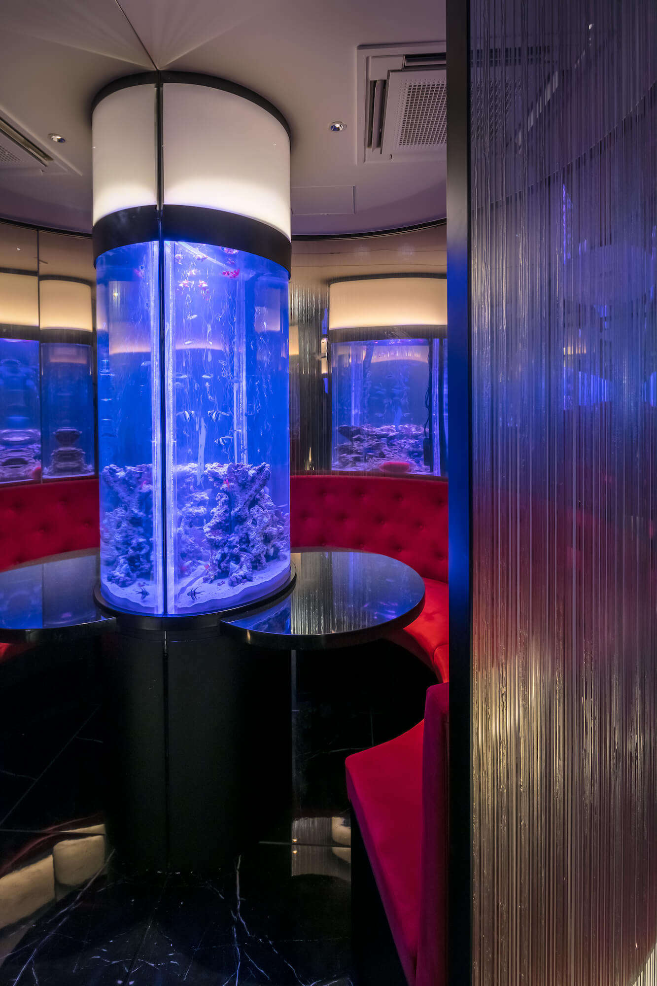 The Parallel Blue-12