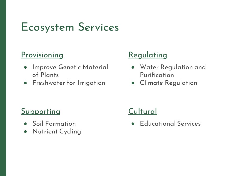 West Coast Park Redesign for Mitigating UHI-9