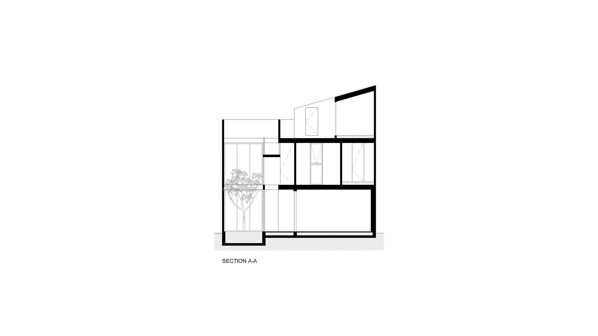 鲨鱼屋丨墨西哥丨TALC-39