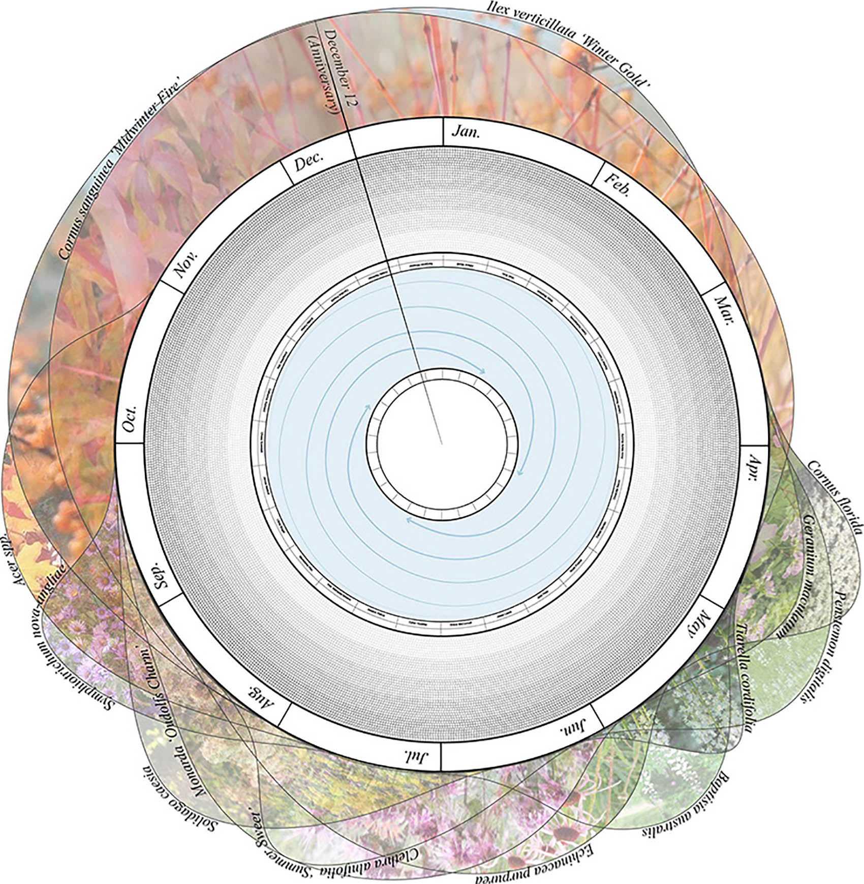 桑迪胡克“林间空地”纪念园丨美国康涅狄格丨SWA Group-41
