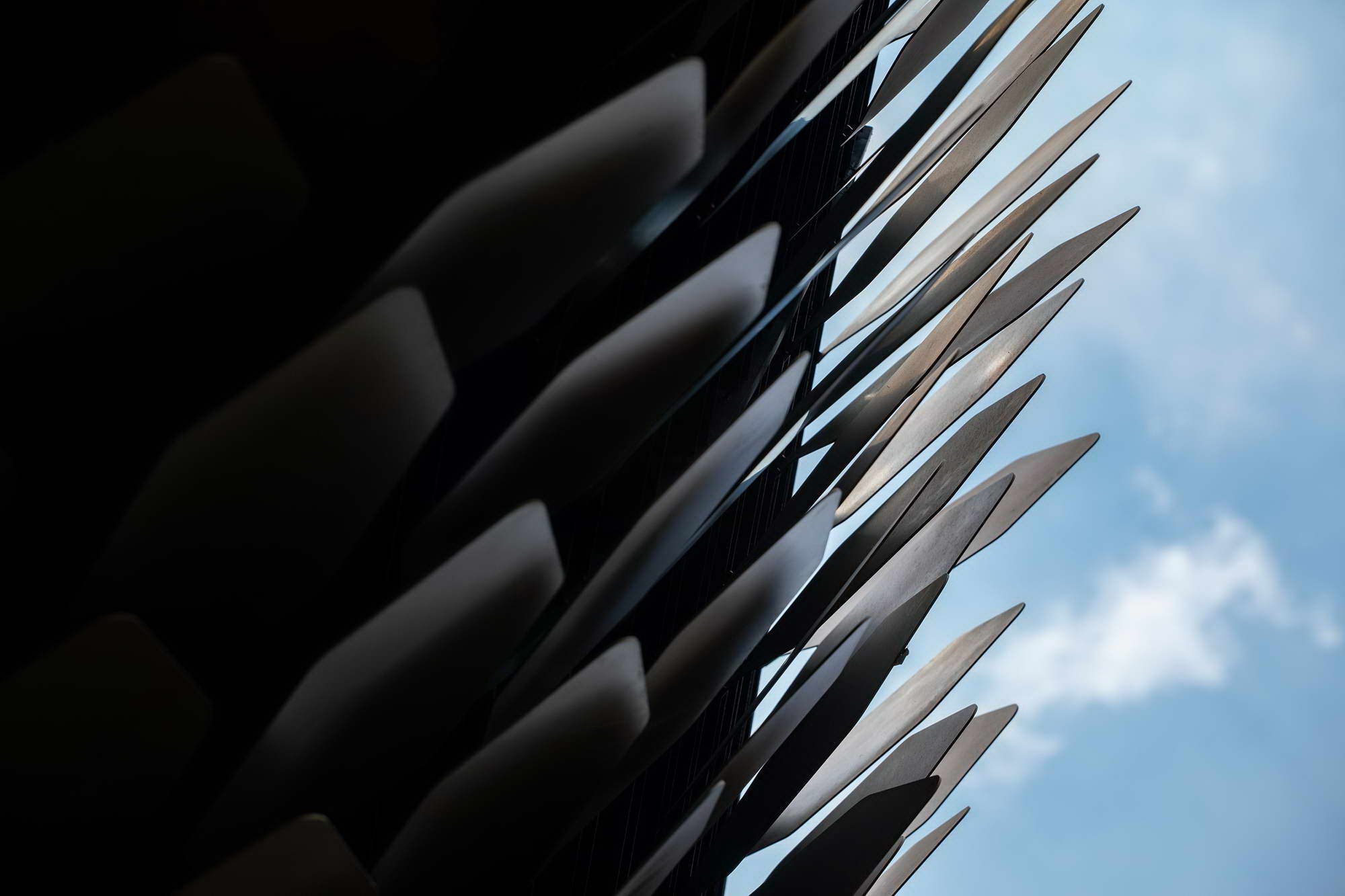 《海门有龙》 | 龙形艺术装置展现东方神韵-35