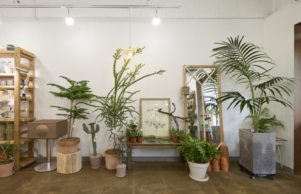 韩国“병풀마켓”室内设计案例-8