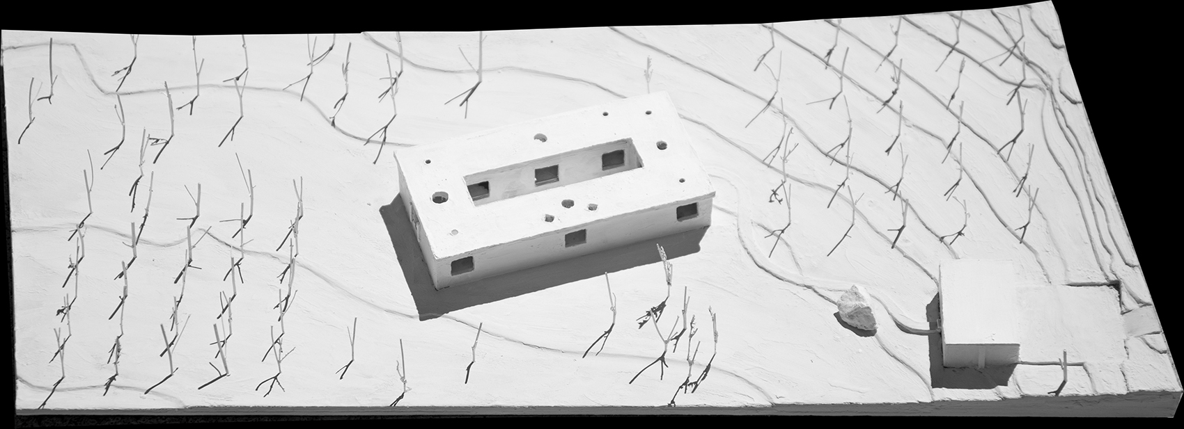 利马之家丨智利-13