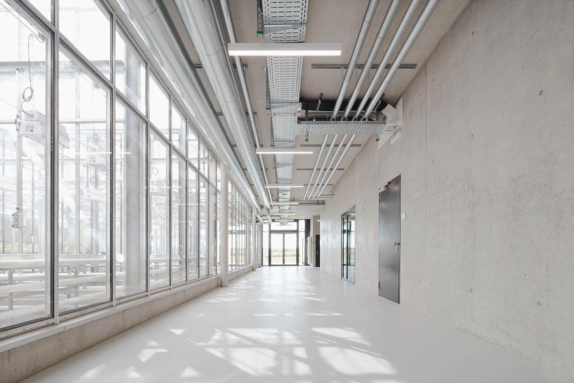 Universität Hohenheim, Stuttgart, Phytotechnikum Forschungsgewächshaus - hw-5