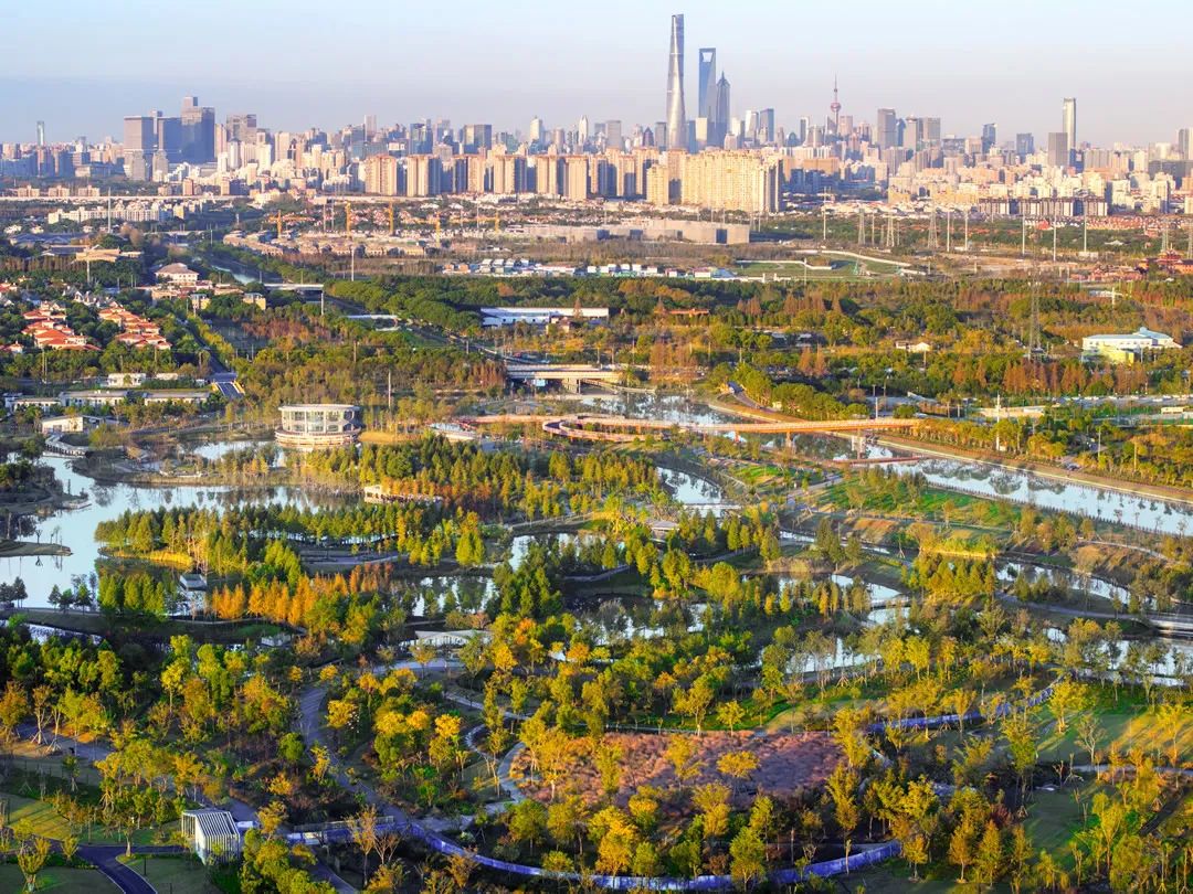 上海碧云绿地丨中国上海丨AECOM-13