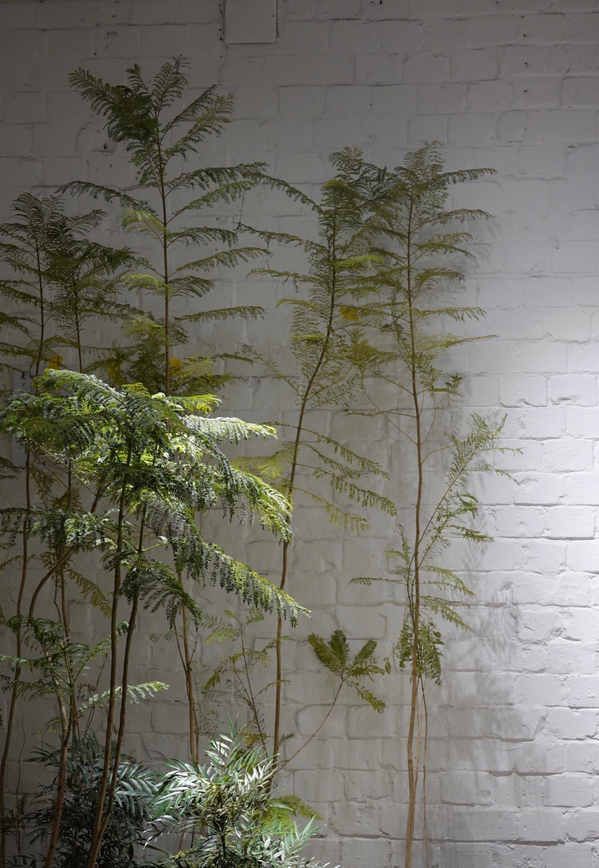 物候自然展厅，重庆 / 物候设计-53