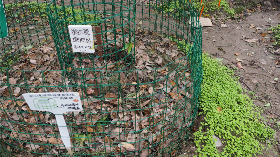 香港KFarm · 高科技农场的绿色奇迹丨中国香港丨陈启豪等-131