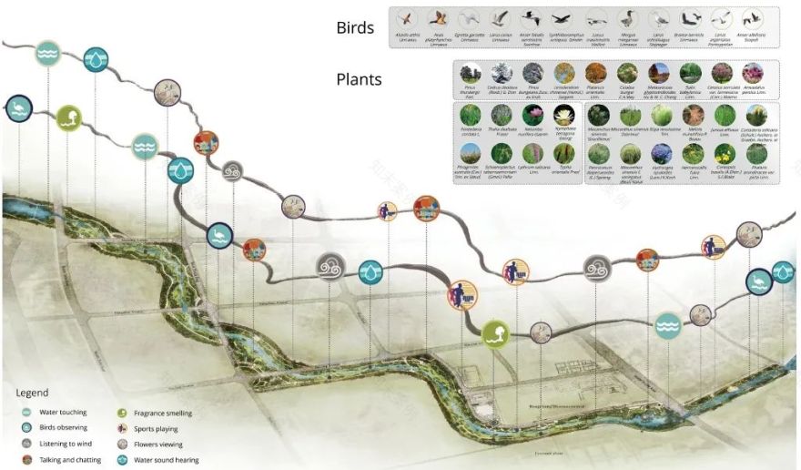 仁浩白银河项目 | 打造生态疗愈的回归空间-31
