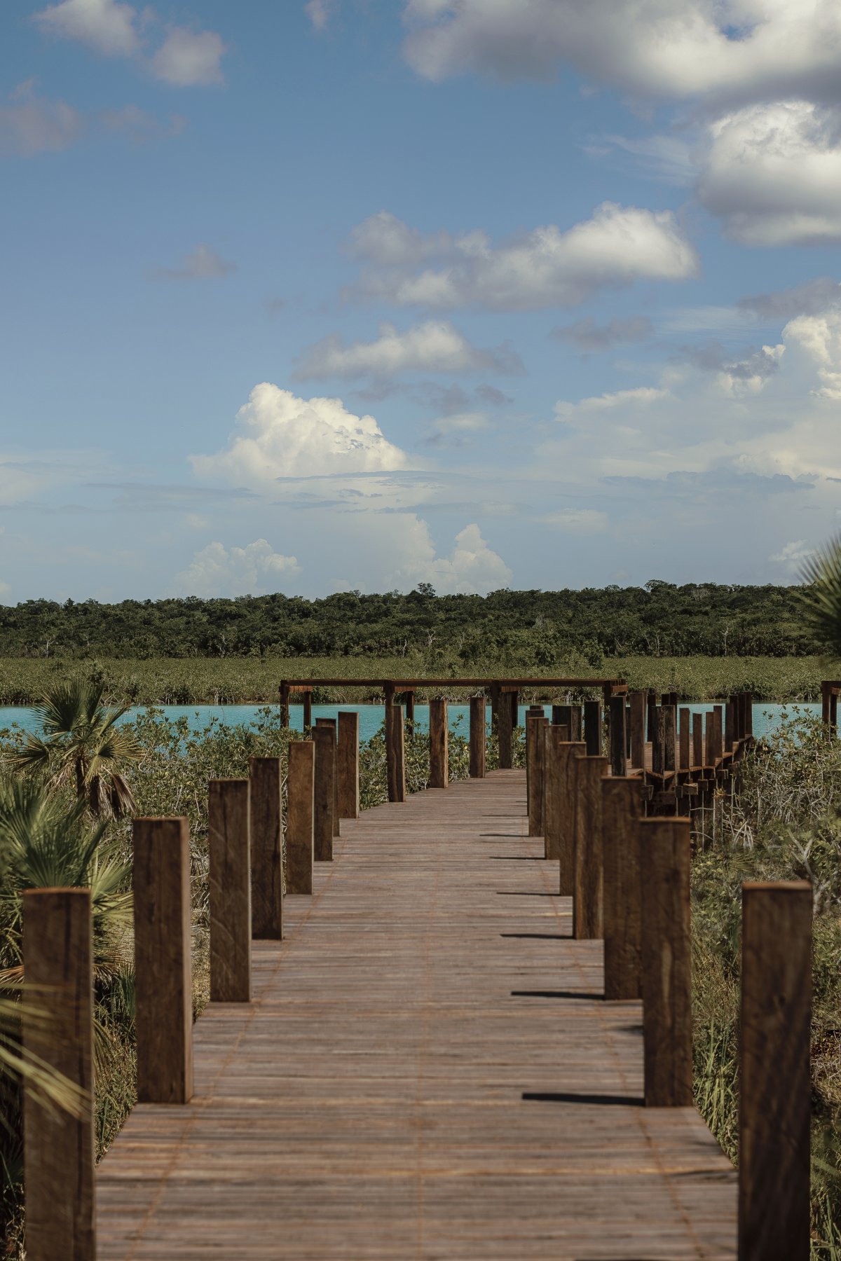 Boca de Agua 酒店丨Frida Escobedo-23