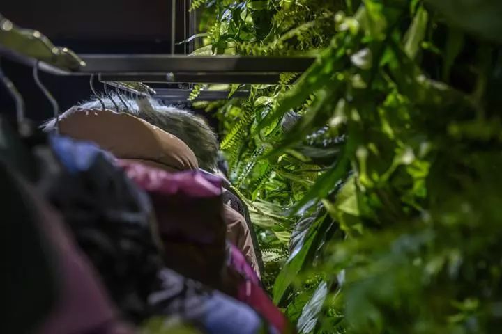 【192期】 最新服装展厅空间设计-50