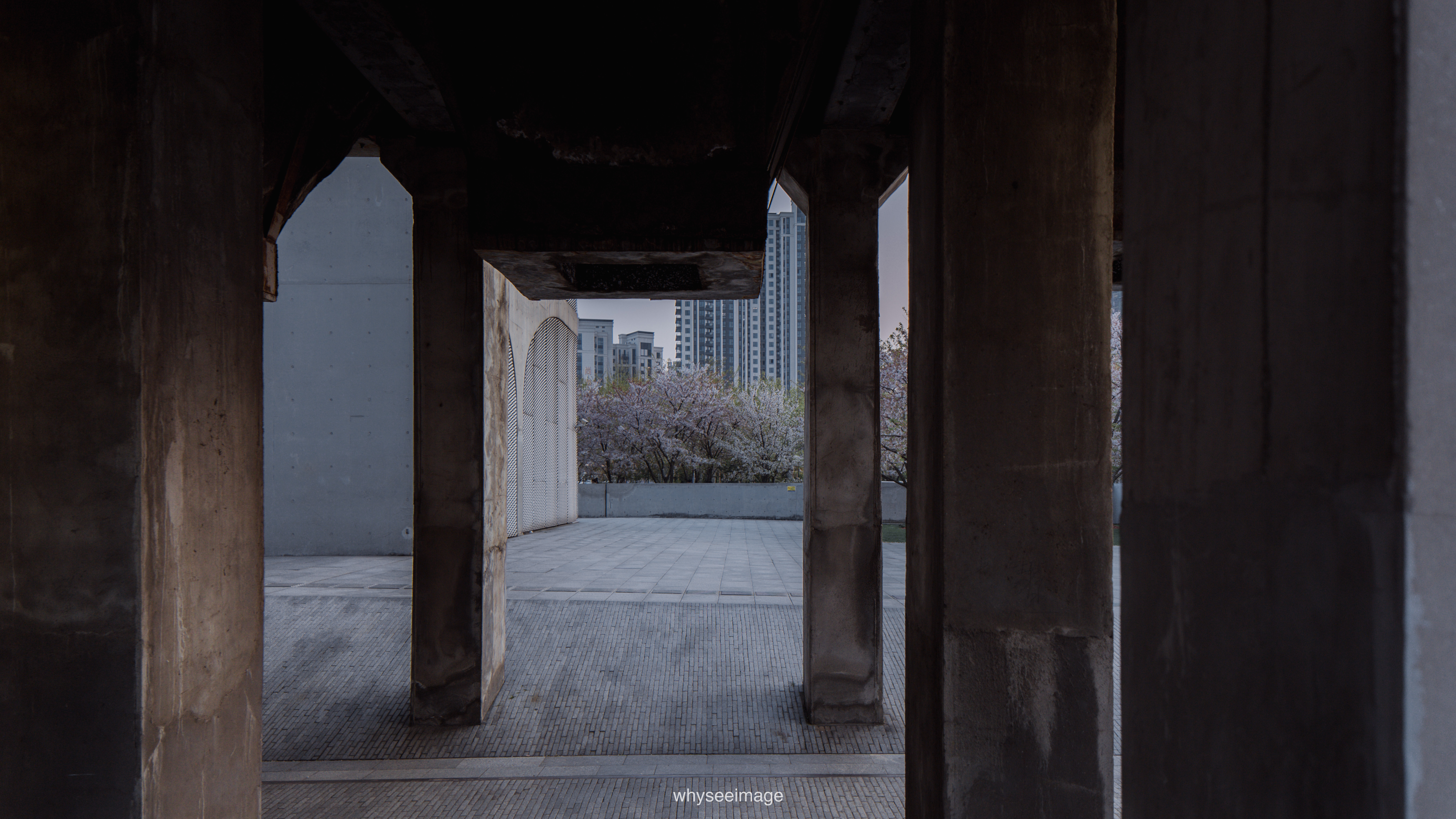 樱花+龙美术馆丨中国上海丨大舍建筑设计工作室-140