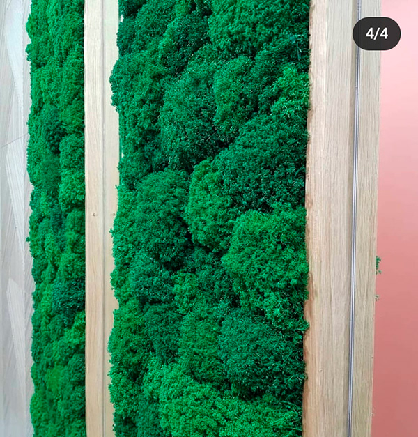 Terracotta Apartments-7