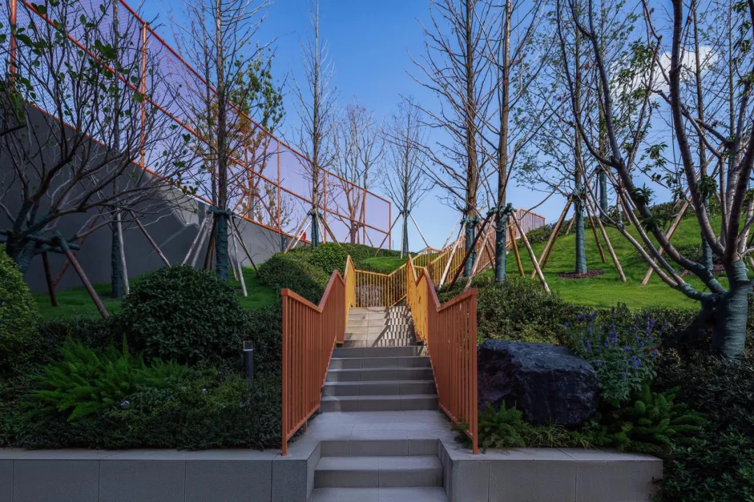 湖南师大附中双语树人学校丨中国长沙丨希尔-47