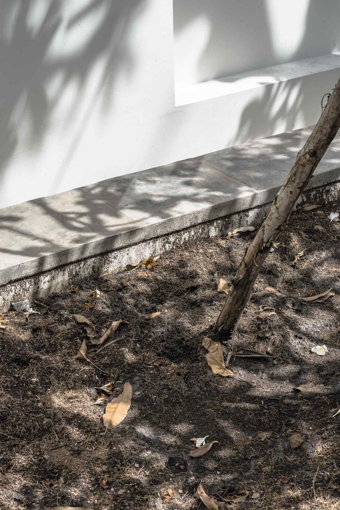 泰国 Baan Bangpok 家庭住宅，垂直螺旋楼梯设计-75