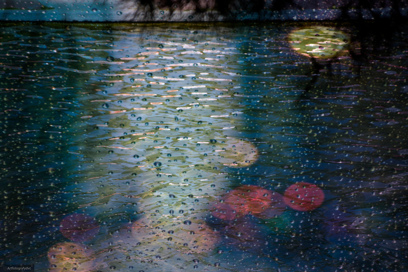 26°Episodio Especiales-5