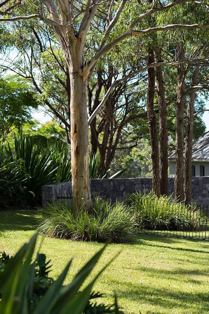 SECRET GARDENS 庭院系列-23