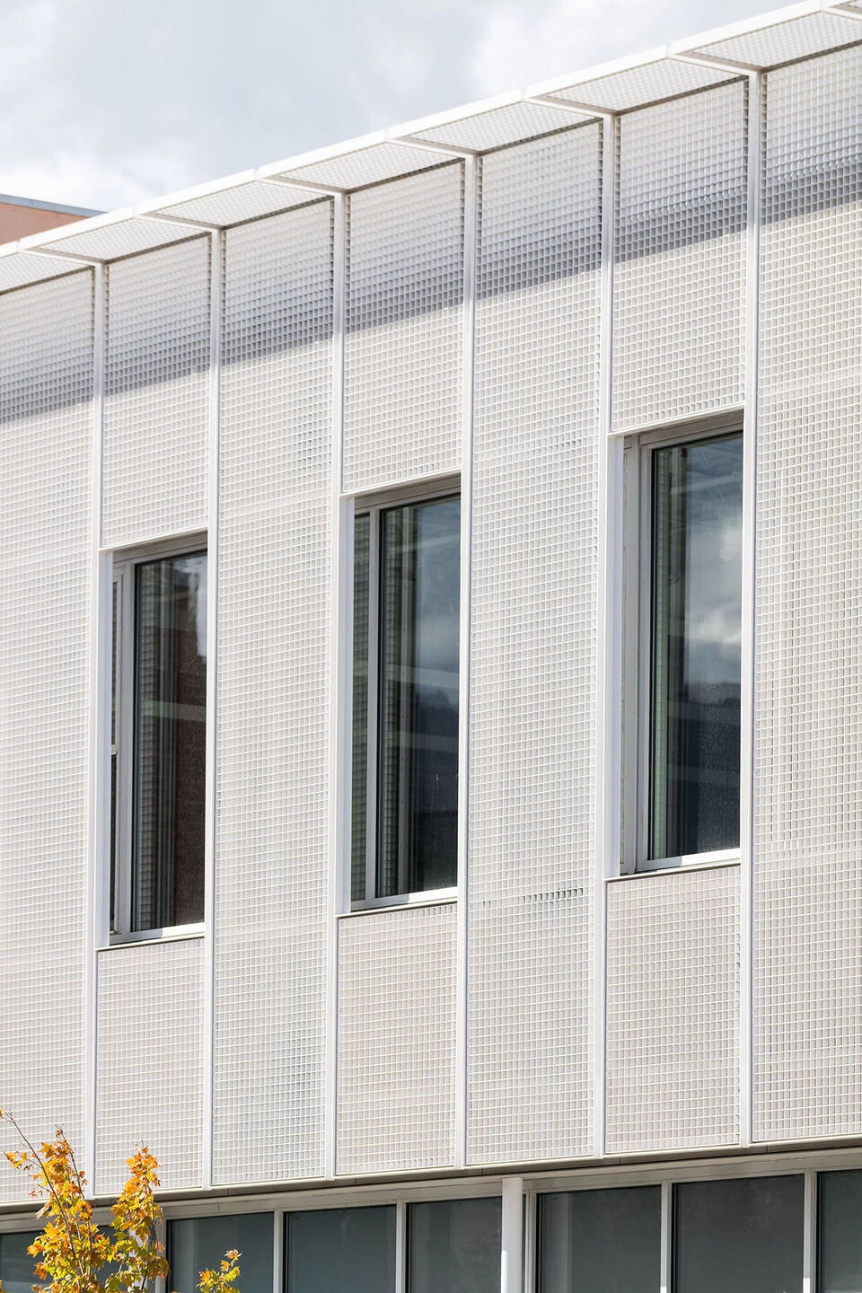 胡桃街 1123 号丨美国博尔德丨MQ Architecture（Miguel Quismondo）-14