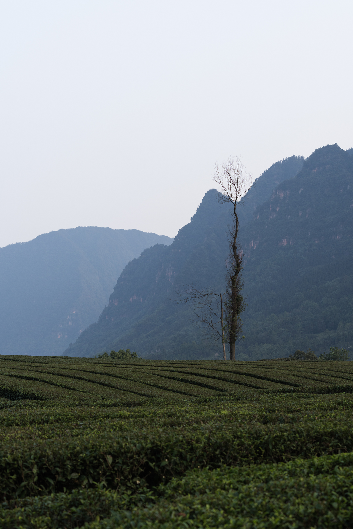 山岫茶宿·叙永丨中国泸州丨小隐建筑事务所-54