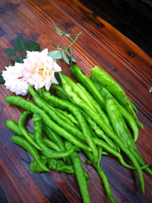 不惑之年，他自己动手建了一座楼顶花园，养花种菜喂鱼……-158