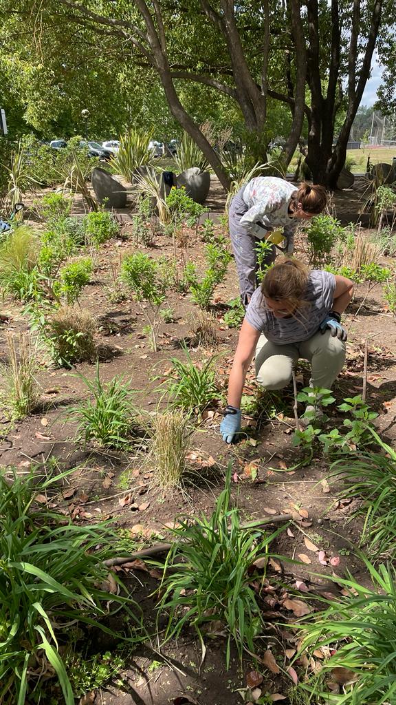 澳大利亚医院治疗花园设计项目丨阿根廷布宜诺斯艾利斯丨Valeria Lennon（农业工程师兼景观设计师）-16
