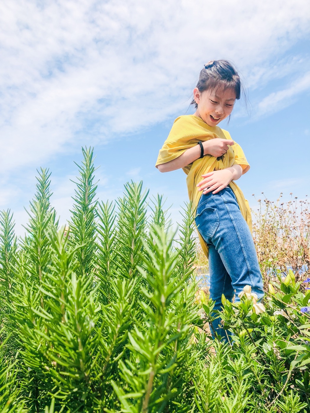 南京志远外语学校天空之园丨中国南京丨南京林业大学风景园林学院团队-29