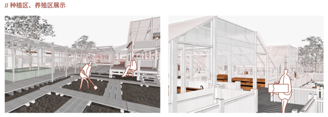 大四毕设将“一次性”建筑转化为可持续绿色社区！三类标准模块+木结构材料见证废墟建筑的再生，重建“温暖的临时家园”！-159