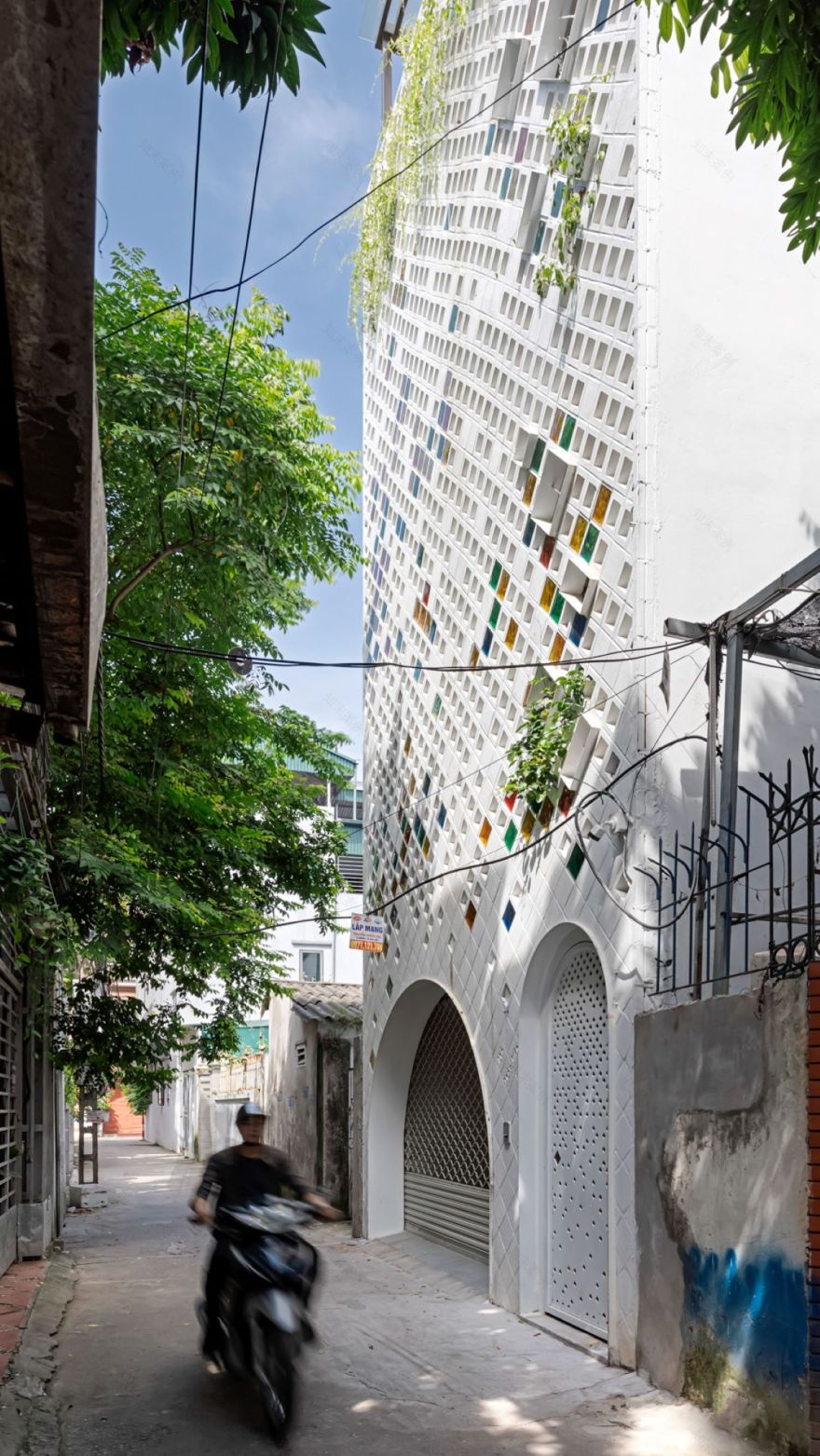 风之谷的绿意之家-2