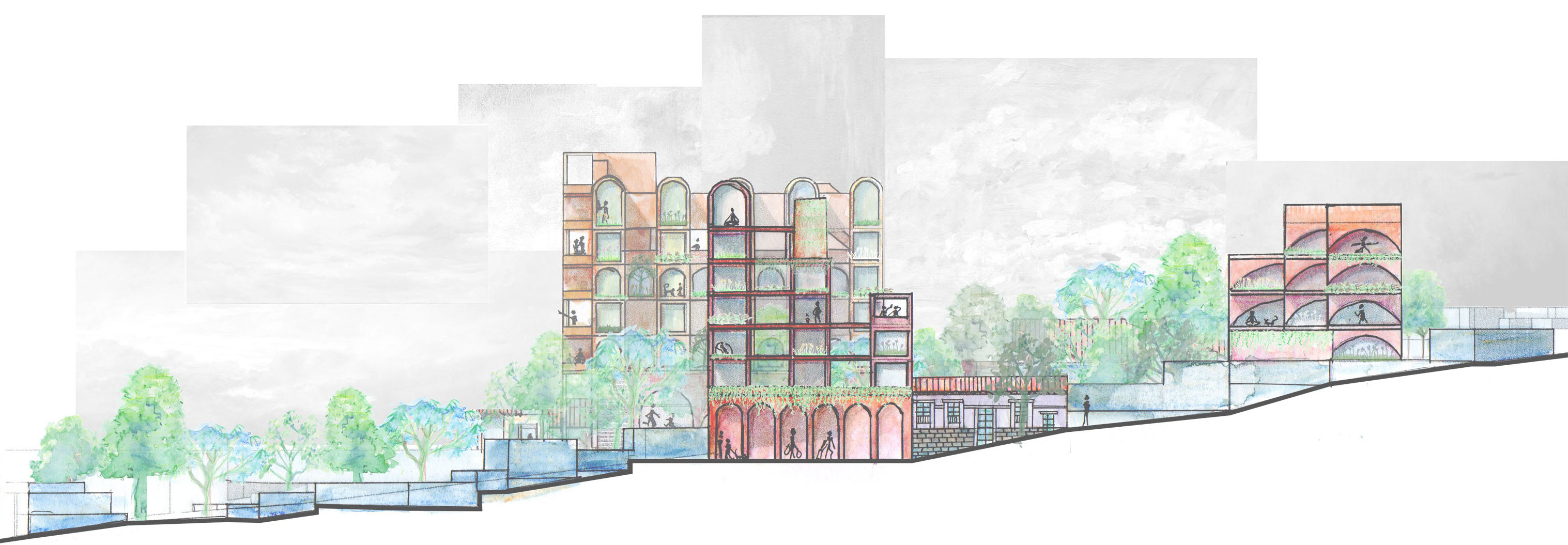 UA2_RECLAMANDO LA NATURALEZA EN LA CASA-14