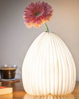 Gingko's Smart Vase Light | 双功能设计之美