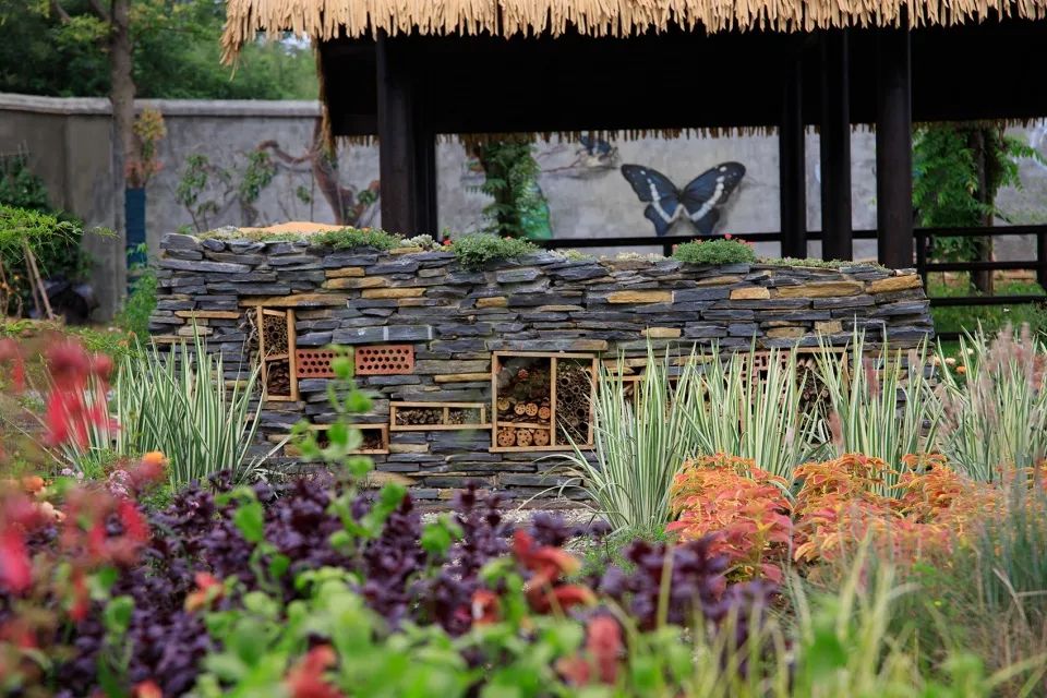 成都新希望种子乐园丨蓝海景观-67