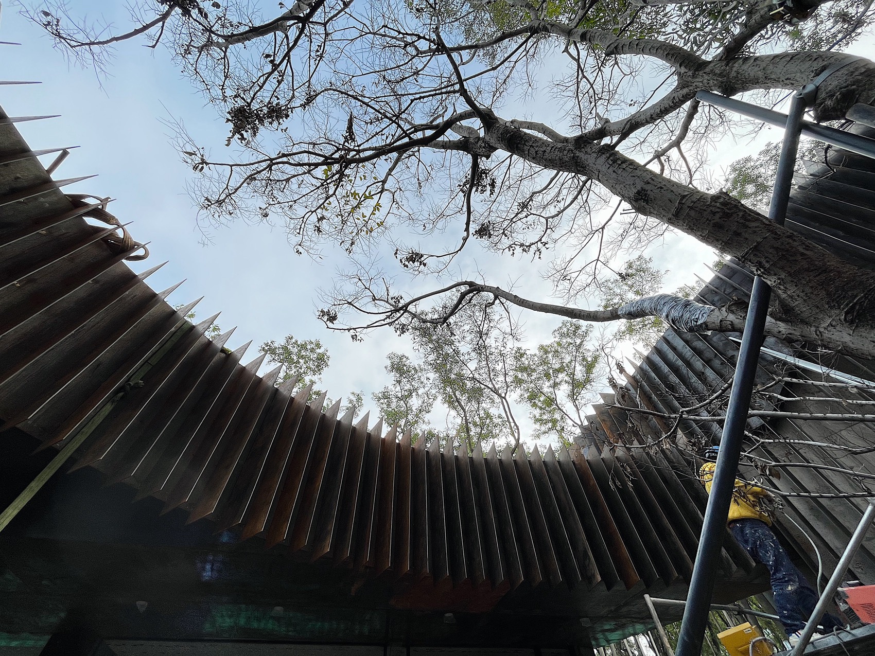 侨城北公园游客中心丨中国深圳丨一树建筑工作室-96