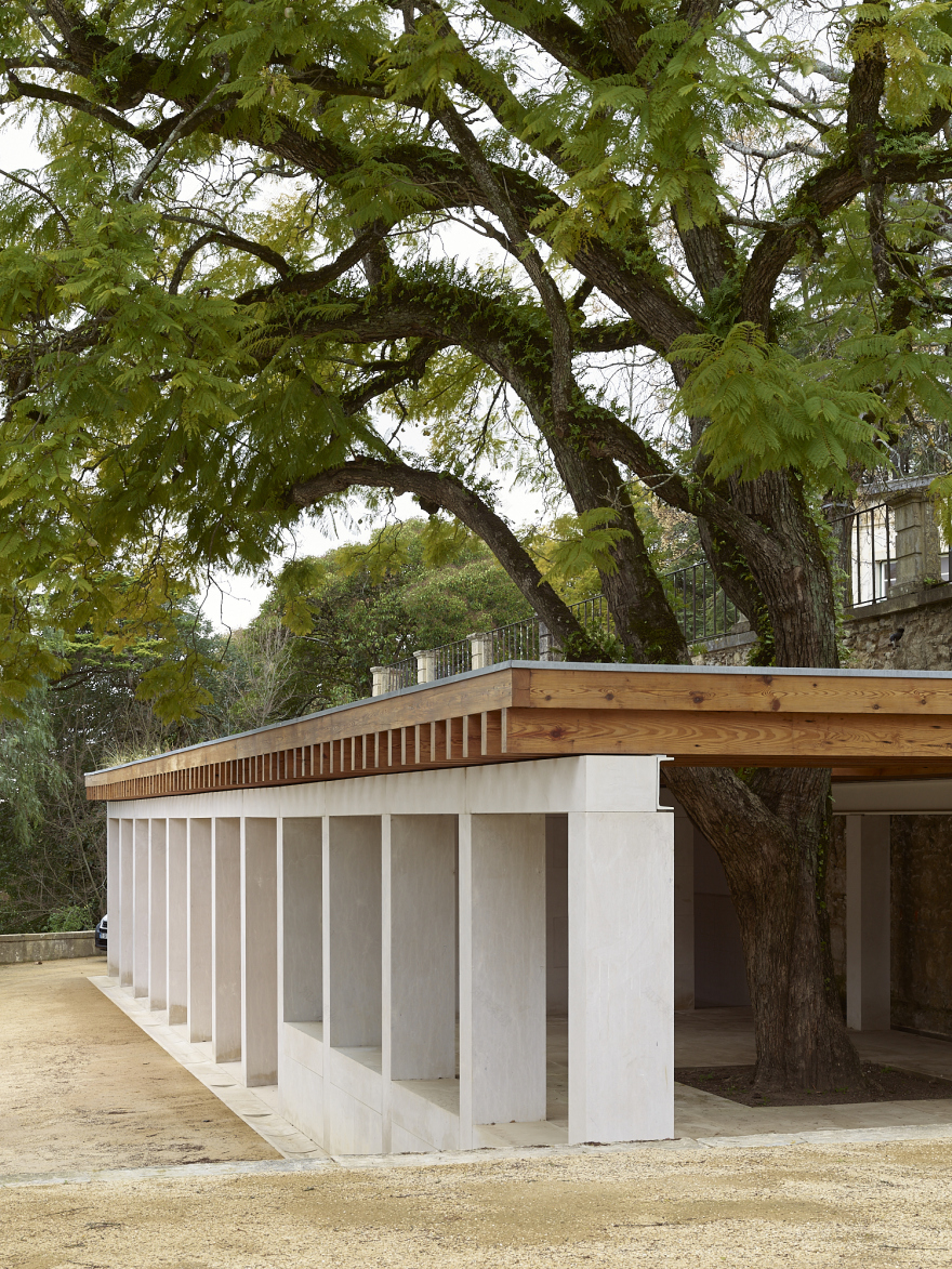 科英布拉大学植物园热带温室丨葡萄牙丨João Mendes Ribeiro-24