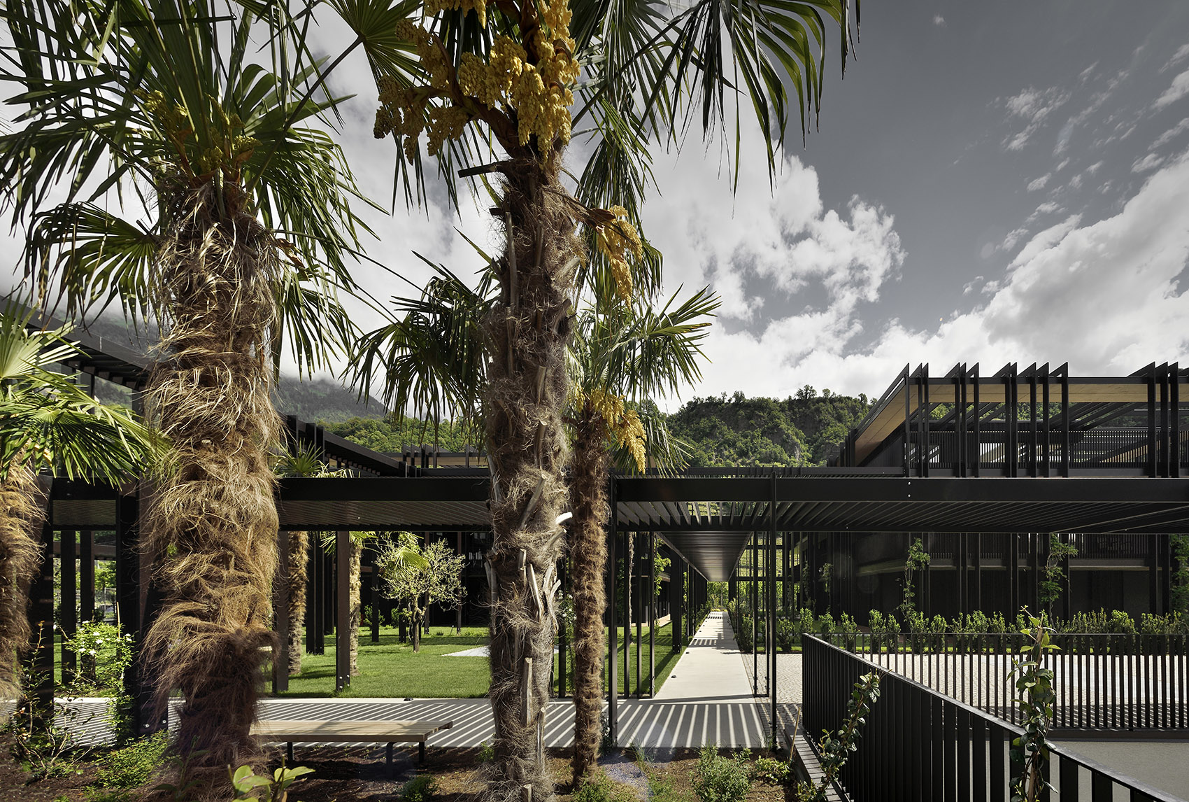 斯图加特 ANTONIANUM 住宅综合体丨德国斯图加特-21