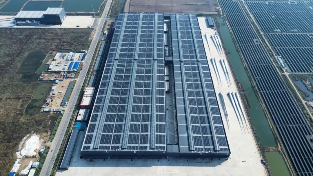 喜讯|双喜临门！上海新建设荣获两项荣誉-48