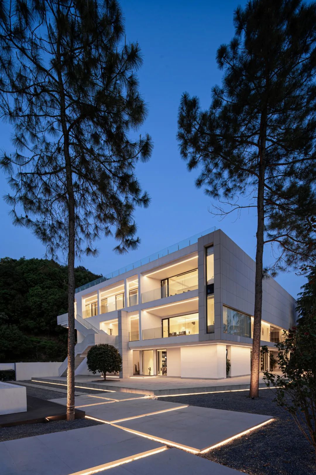 莫干山秘境杉林,尽享自然之美-6