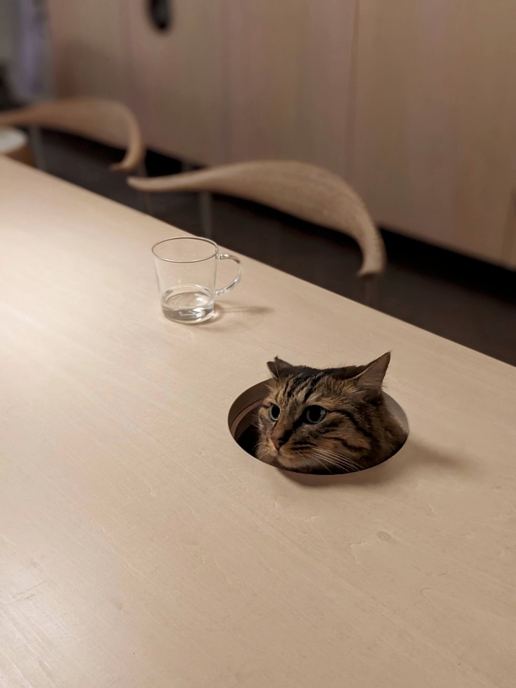 凹屋 · 二手公寓改造丨日本丨Hiroyasu Imai-16