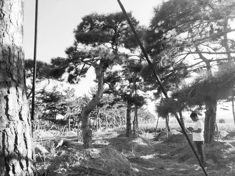 梦幻现实 | 龙湖·春江天越的空间艺术-48